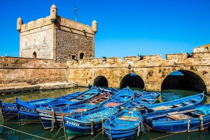 Essaouira Private Day Excursion From Marrakech - Inclusions and Accessibility