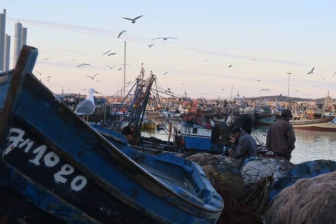 ESSAOUIRA - Private Day Trip - The Sum Up