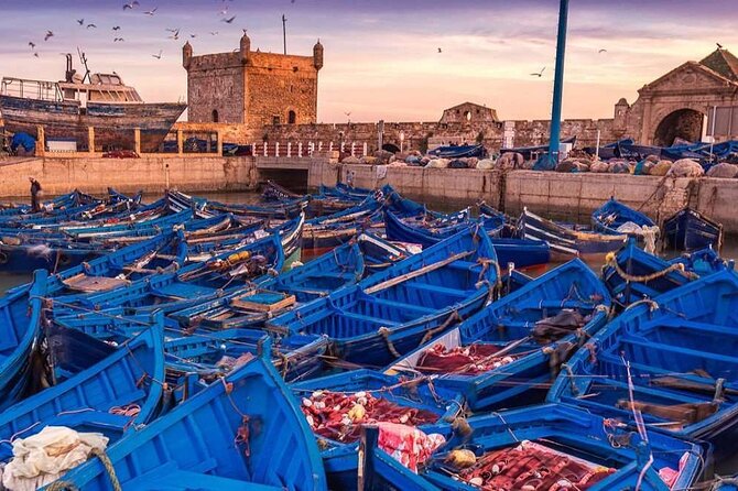 Essaouira Private Day Trip From Marrakech - Pricing