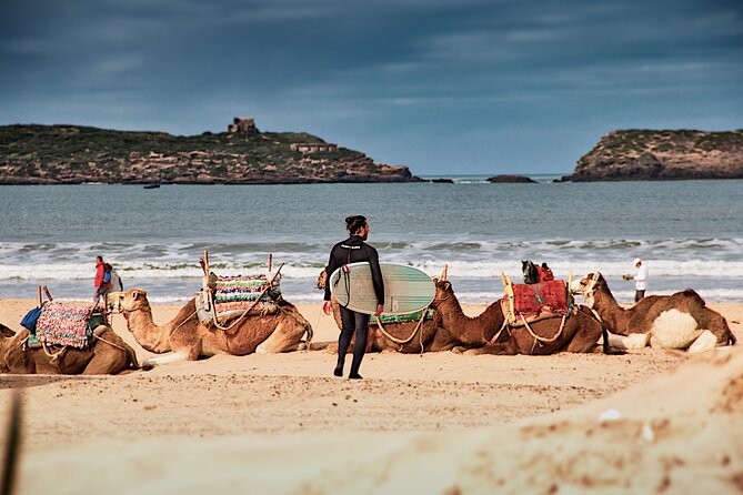 Essaouira Private Day Trip From Marrakech - Trip Duration and Pick-up Details