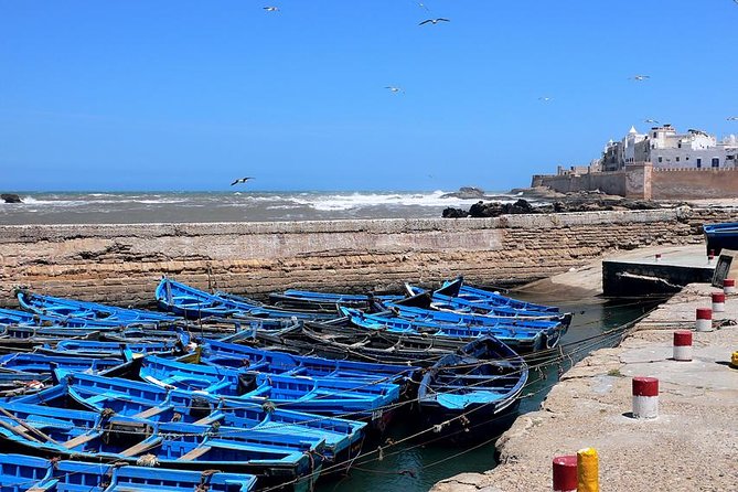 Essaouira Private Tour From Marrakech - Tour Highlights
