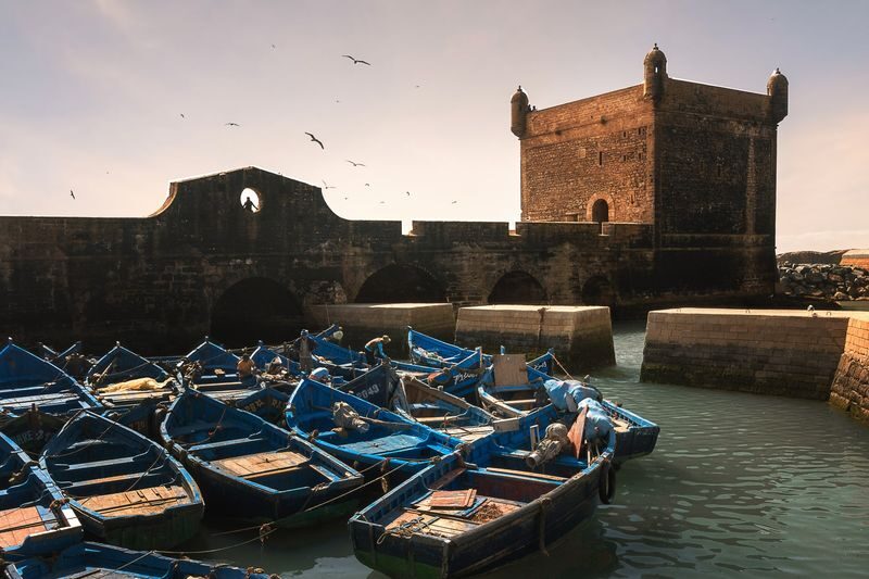 Essaouira Self Guided Day Trip from Marrakech - What to know before you book