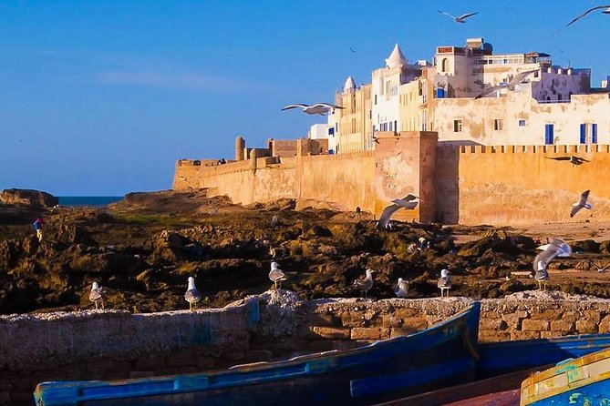 Essaouira Unveiled: A Day of Culture and Coastal Wonders! - Good To Know