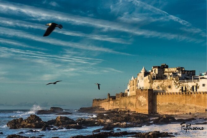 Essaouira Unveiled: A Day of Culture and Coastal Wonders! - Strolling Through Ancient Medina