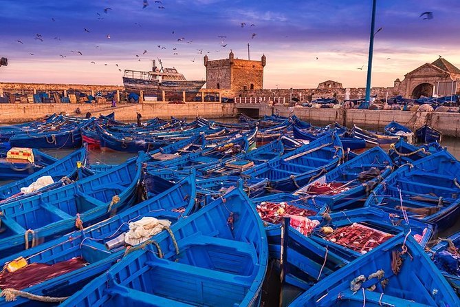 Essaouira,The Old City of Mogador, Sea Side 1 Day Excursion - Inclusions and Exclusions