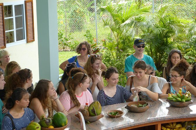 Essence of St Lucia Heritage Experience - What to Expect from the Itinerary