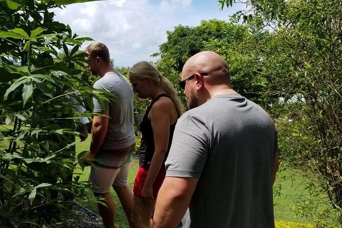 Essence of St Lucia Heritage Experience - Garden Walk and Medicinal Herbs