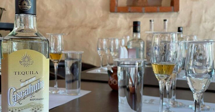 Essence of Tequila - Agave Landscape Visit