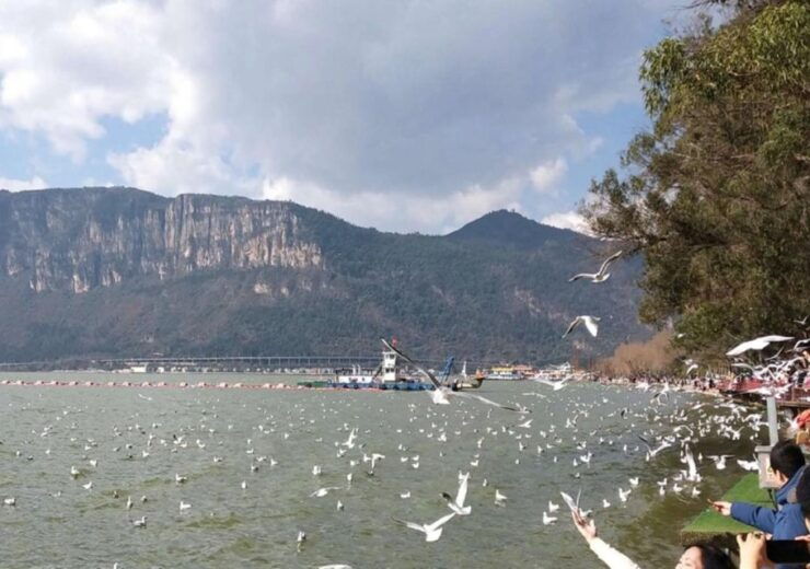 Essences of Kunming Downtown Day Tour - Tour Provider and Location