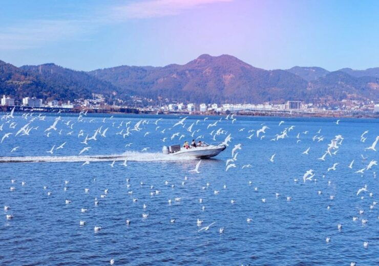 Essences of Kunming Downtown Day Tour - Tour Highlights and Description