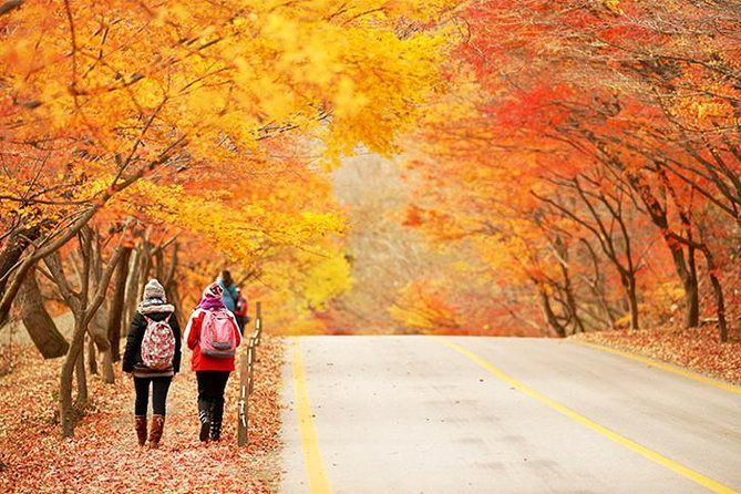 Essential Autumn Foliage of Korea 3 Days With Sorak and Odaesan Mountain - Must-Visit Spots in Sorak and Odaesan Mountain