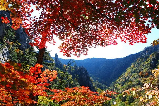 Essential Autumn Foliage of Korea 3 Days With Sorak and Odaesan Mountain - Tips for an Unforgettable Autumn Experience