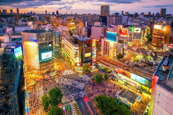 Essential Japan 7-Day Tour by Europamundo (2026-27 Departures) - Nara’s giant Buddha and Osaka after dark