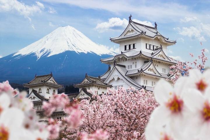 Essential Japan 7-Day Tour by Europamundo (2026-27 Departures) - What the price covers, and what it does not