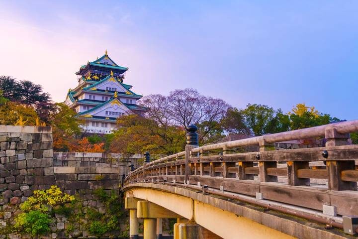 Essential Japan GO by Europamundo - 7-Day Tokyo to Osaka Tour - Day 6: Nara’s Great Buddha, then Osaka after dark