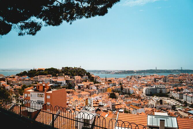 Essential Lisbon Highlights Walking Tour - An In-Depth Look at the Tour Itinerary