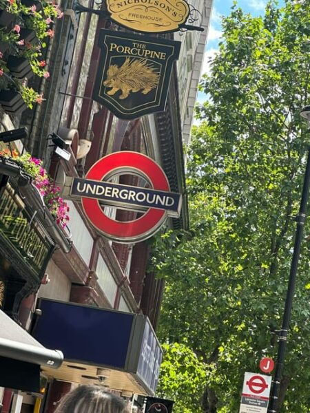 Essential London Introductory Tour - Londoner by a Londoner - Starting Location