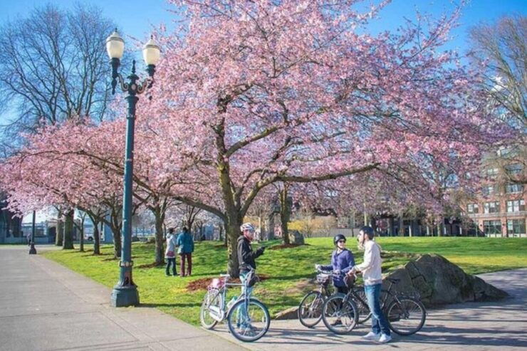 Essential Portland: 2-Hour Guided Bike Tour - Tour Booking and Details