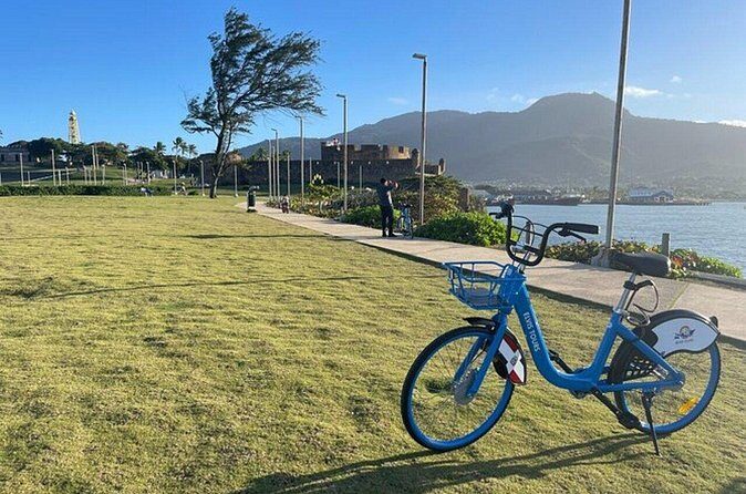 Essential Puerto Plata A Walking Tour from taino Bay with Guide - Who Will Love This Tour?