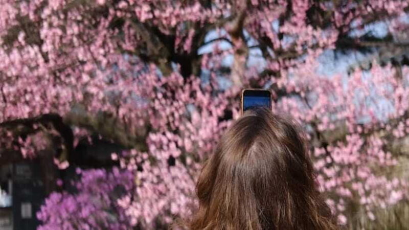 Essential Seoul: Hanbok, Hanok & Handmade Noodles - An In-Depth Look at the Tour Experience