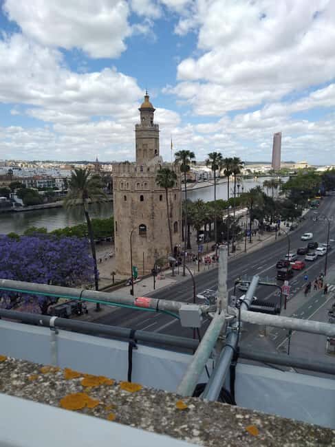 Essential Seville with Tapas: Santa Cruz, Plaza de España, and Local Flavors - Exploring Seville with a Personal Touch