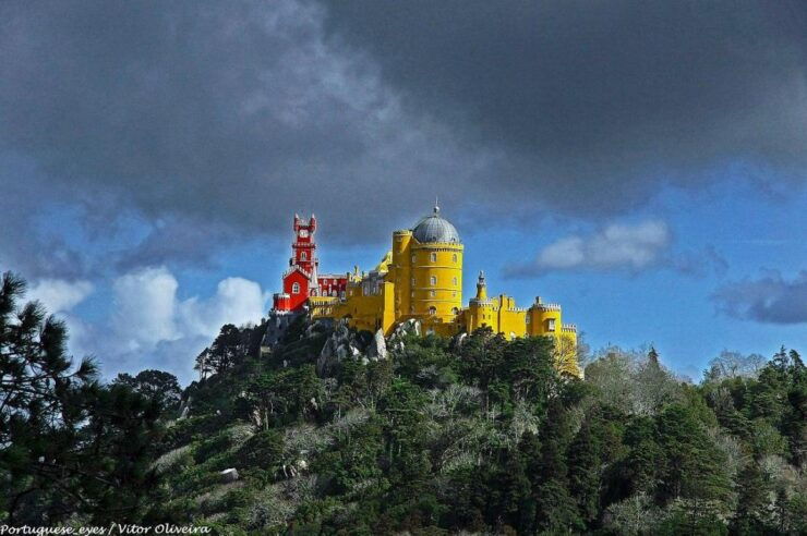 Essential Sintra: 5-Hour Journey - Driver Details