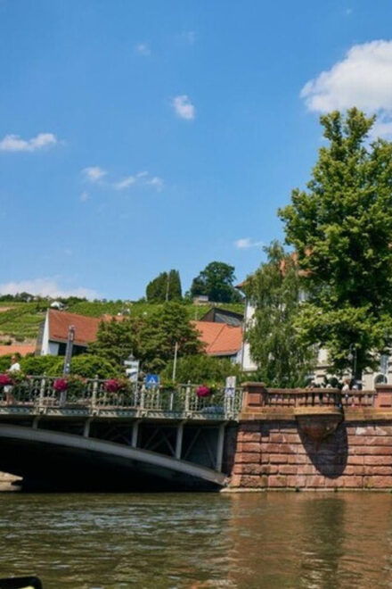 Esslingen Am Neckar: Guided City Tour (English) - Experience the Old Town