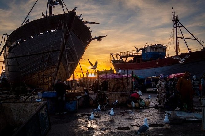 Essouira Full-Day Tour From Agadir With a Group - Customer Support