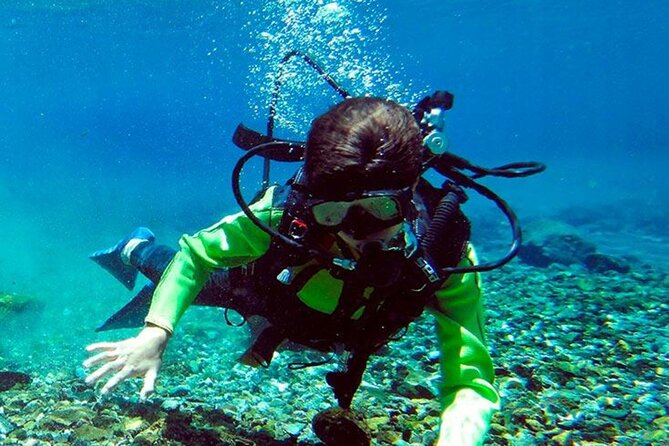 Estacas Natural Park Tour From Mexico City - Pickup and Drop-off Points