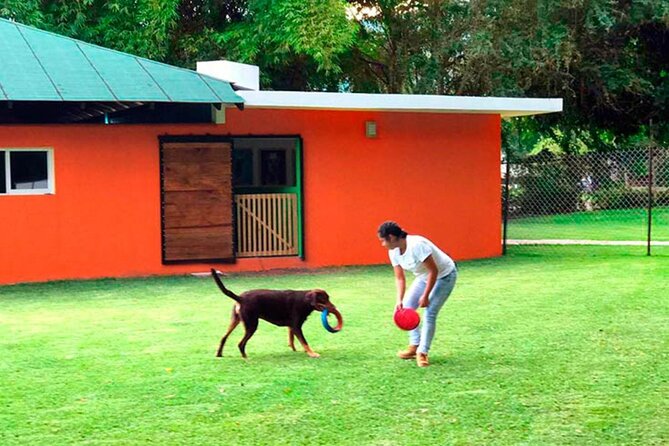 Estacas Natural Park Tour From Mexico City - Directions