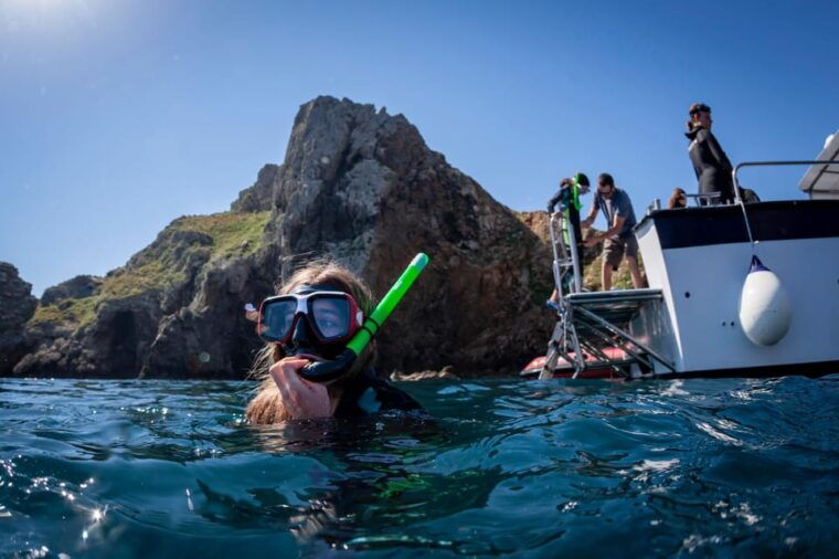 Estartit: Boat Trip Around Medes Island and Swim in the Coast - Diverse Marine Life
