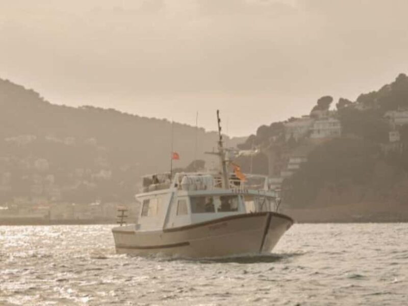 Estartit: Sunset Cruise with Snorkeling and a Drink - The Experience in Detail