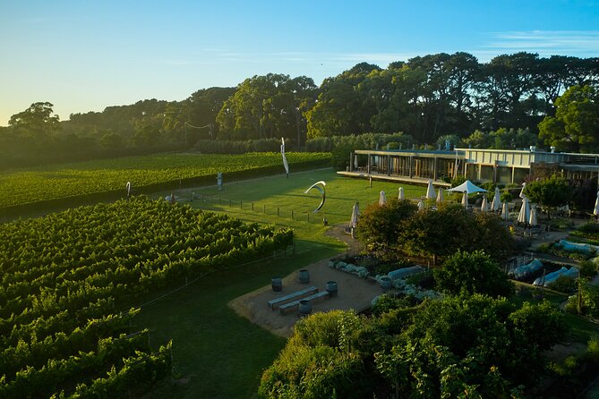 Estate to Plate: Montalto Vineyard Gourmet Lunch and Wine-Tasting Tour - Overview and Location