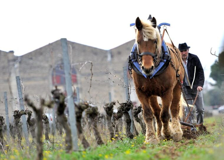 Estate Tour and Tasting - Frequently Asked Questions