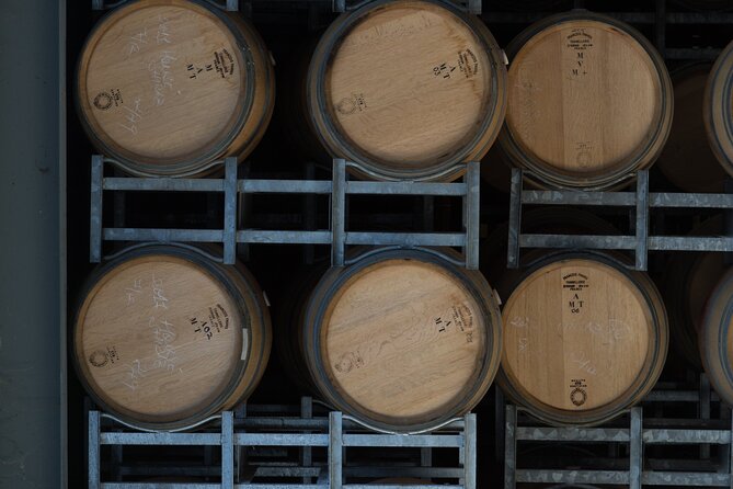 Estate Tour From Soil to Glass - Vineyard Exploration