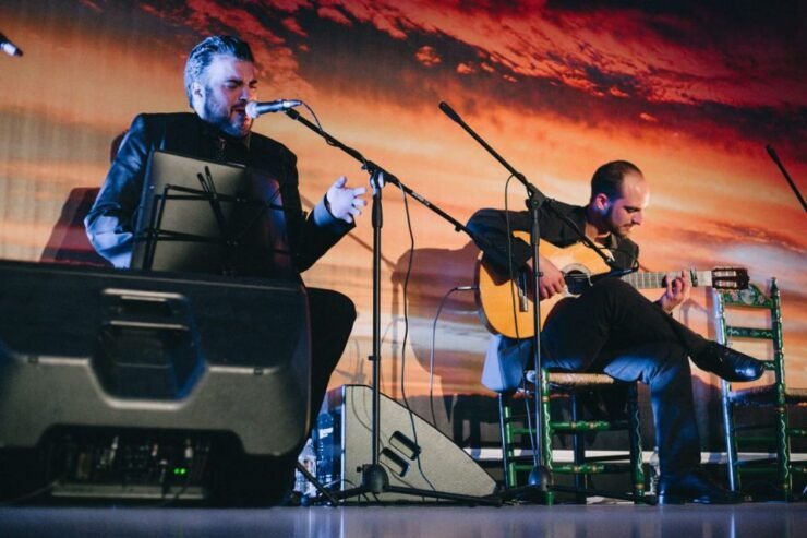 Estepona: Andalusian Flamenco Show Entry Ticket With Drink - Experience Highlights