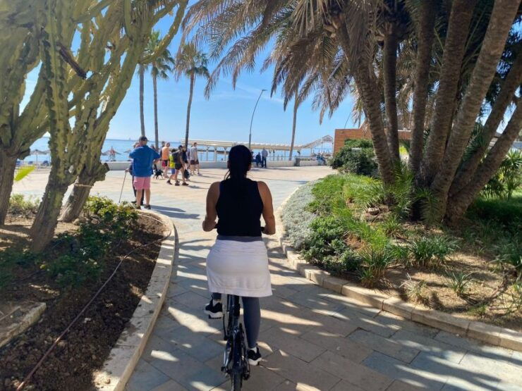 Estepona Bike Tour - Tour Details
