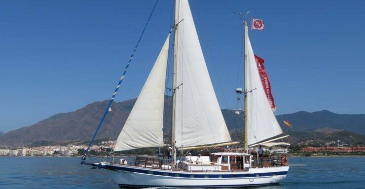 Estepona: Dolphin Watching Sailboat Cruise With Drink - Activity Details