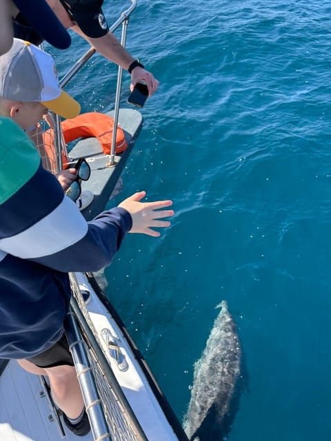 Estepona: Dolphins Searching Sea Cruise With Drink & Snacks - Weather Policy