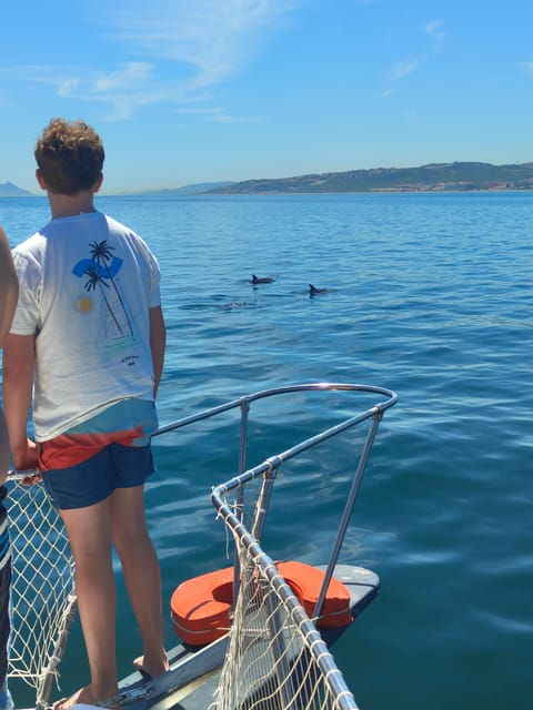Estepona: Dolphins Searching Sea Cruise With Drink & Snacks - Frequently Asked Questions