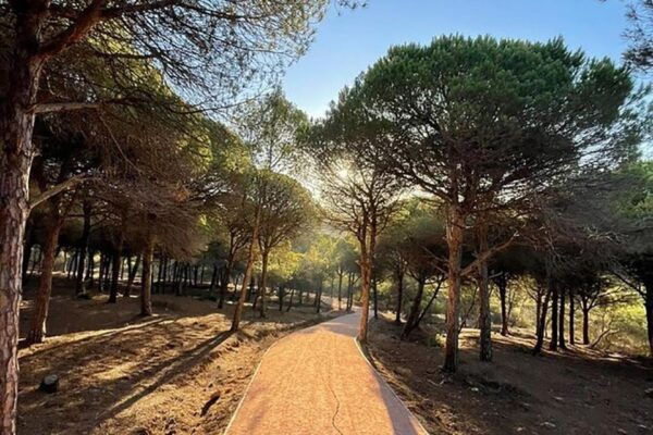 Estepona Private Guided Tour of Tangier - The Sum Up