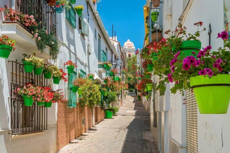 Estepona: Private sailing trip ideal for groups of up to 10 people. - Final Thoughts