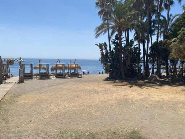 Estepona / Puerto Banus: Premium Bike Tour Estepona - Puerto Banus - Available Languages