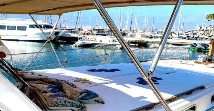 Estepona: Sea Cruise in Search of Dolphins/Drink & Snacks - Activity Details