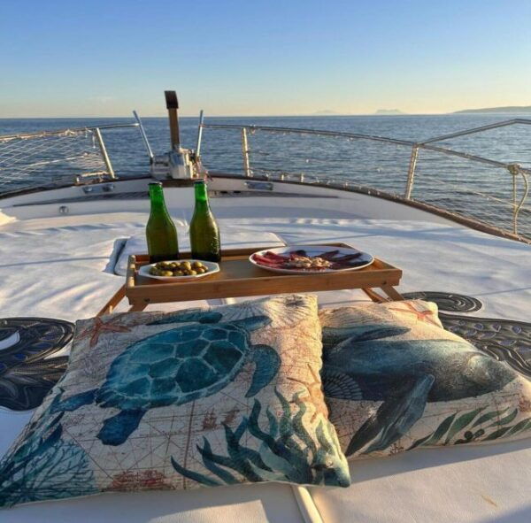 Estepona: Sea Cruise in Search of Dolphins/Drink & Snacks - The Sum Up