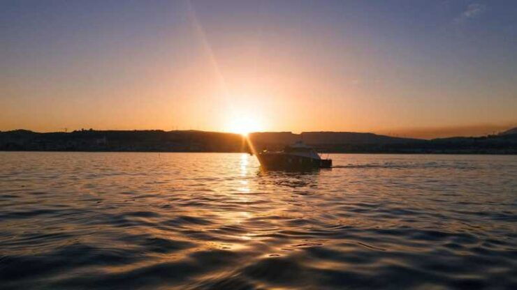 Estepona: Sunset Cruise in Search of Dolphins/Drink & Snacks - Activity Overview