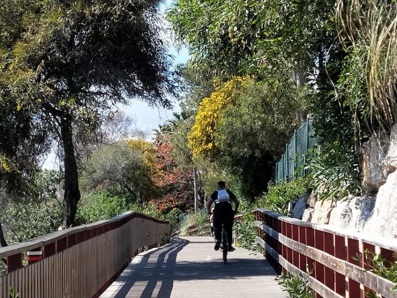 Estepona Walking Tour - City History, Culture & Gastronomy - Itinerary and Highlights