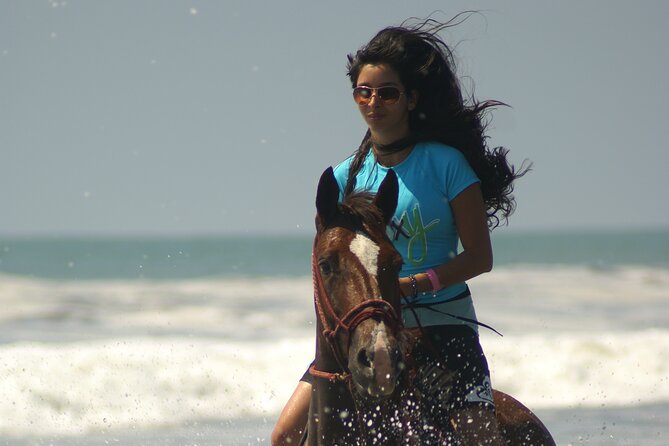 Esterillos Beach (Jaco, Manuel Antonio) Horseback Riding Tour (Feb ) - Booking Information