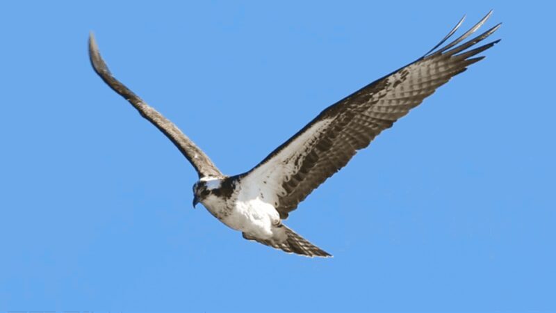 Estes Park: Bear Lake Corridor Tour - Final Thoughts