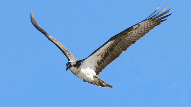 Estes Park: Bear Lake Corridor Tour - Participant Information